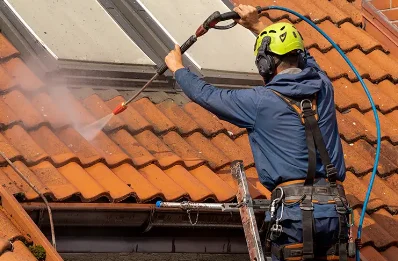 Démoussage et hydrofuge de toiture à Bazelat